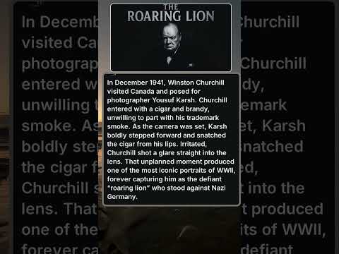 Churchill and the story of The Roaring Lion #book_records #history #interestingfacts #rip #facts