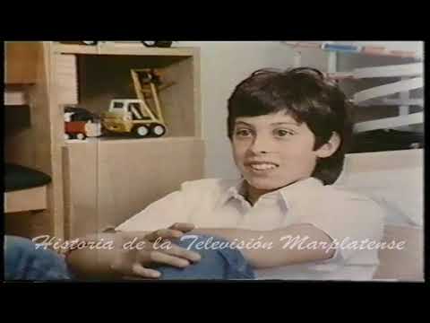 COMIENZO DE LA DEMOCRACIA PRESIDENCIA DE RAUL ALFONSIN 1983