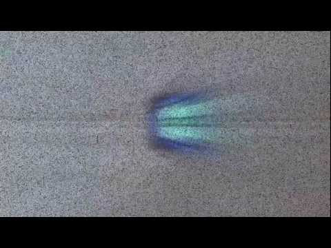 Strain 101: Organism Tile