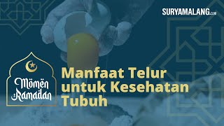 Manfaat Telur untuk Kesehatan Tubuh, Dapat Meningkatkan Kolesterol Baik