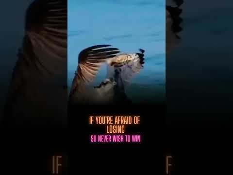 never wish to win #shortvideo #aj_mayu