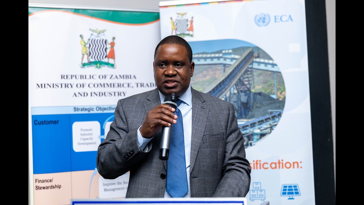 Musokotwane Sichizuwe, Director of Industry at MCTI