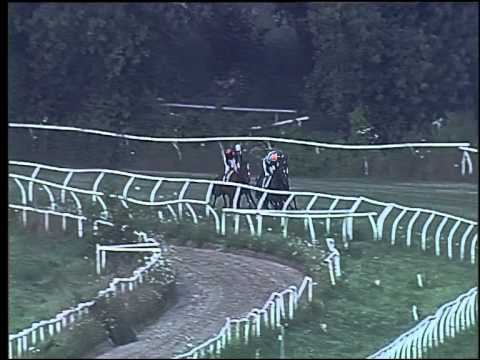 Galoppo 15/07/2015 - 4° corsa