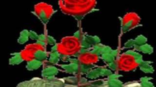 Szeitz Kriszta: Mondj igent