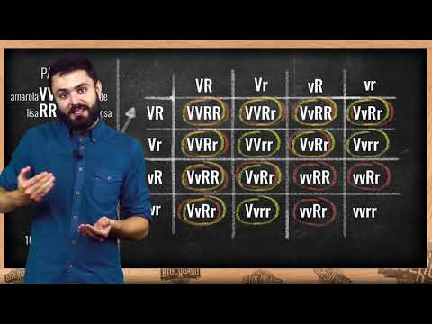 2ª Lei de Mendel com Prof. Henrique Zotarelli