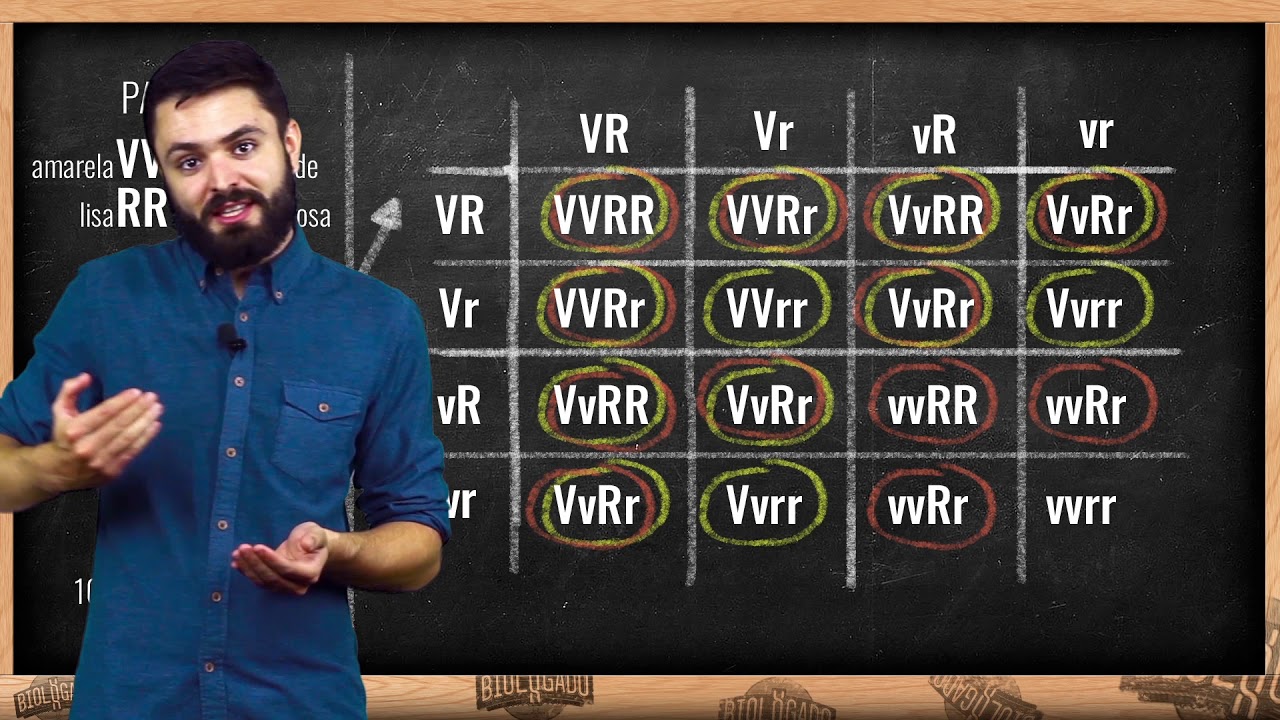 2ª Lei de Mendel com Prof. Henrique Zotarelli