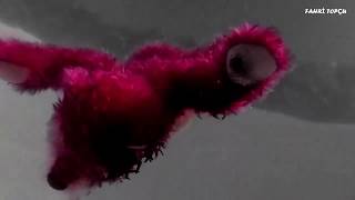 Gnarls Barkley  Who&#39;s Gonna Save My Soul - Breaking Bad