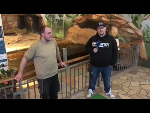 Onnis Gewichtswette bei Antenne MV - Das große Wiegen!