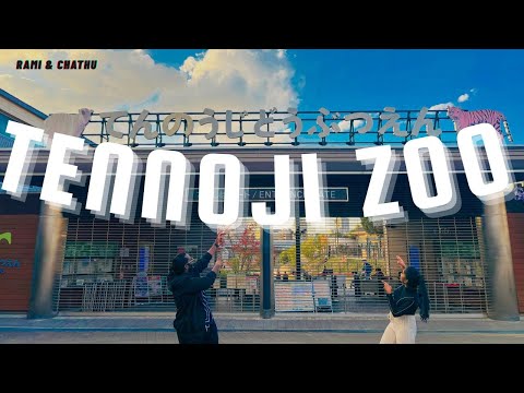 Welcome to Osaka Tennoji Zoo 2025.......🐯🦁🐒🐻🐼🦏🦍🦥🌳 | #zoo #osaka #japan