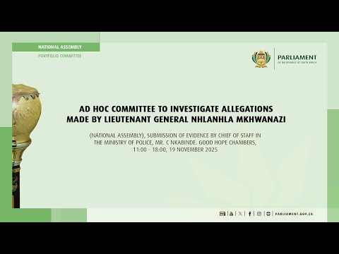 1/2 Ad Hoc Committee to Investigate Allegations made by Lieutenant General Mkhwanazi, 19 Nov 2025