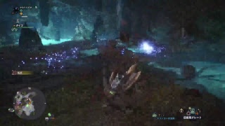 ハゲキャン動画31G
