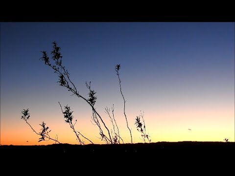 Deep River feat  Jane Maximova Lemongrass