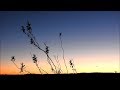 Deep River feat  Jane Maximova Lemongrass