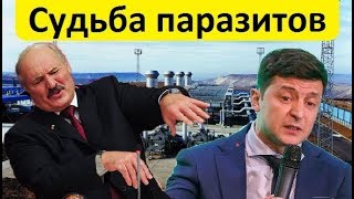 🔥 СУДЬБА ПАРАЗИТОВ: Украина, Белоруссия и Болгария хотят работать в «Турецком потоке»