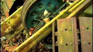"wholesale" music + video by colongib (2000)