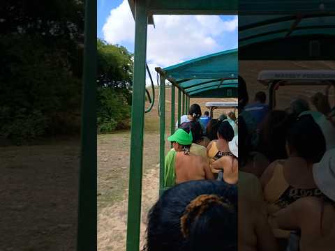 Safari em Boca da Mata-Alagoas