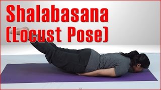 LOCUST POSE (SALABHASANA) & Benefits | Lower Back Pain