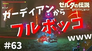 ほこらチャレンジ「孤島の試練」ガーディアンからフルボッコにされた【ゼルダの伝説ブレスオブザワイルド女性実況】～今日もゼルダを救えない#63