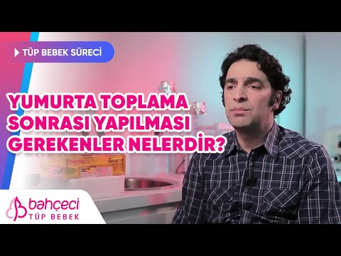 Yumurta toplama sonrası yapılması gerekenler nelerdir?