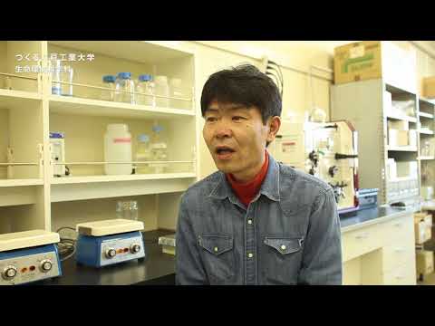 機械工学科 H.I.T!｜八戸工業大学 教員からのメッセージ