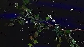 Barney Song : Twinkle, Twinkle, Little Star (Barney&#39;s Good Day, Good Night)