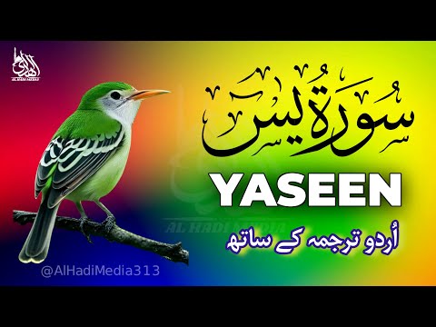 Surah Yaseen Ki Tilawat | Heart Touching Quran Recitation | Ep - 564