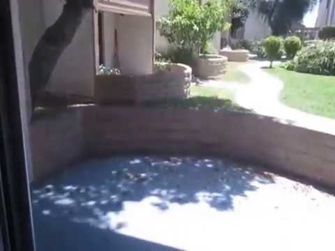 PL6716 - Newly Updated 2 Bed + 1 Bath Apartment for Rent! (Long Beach, CA)