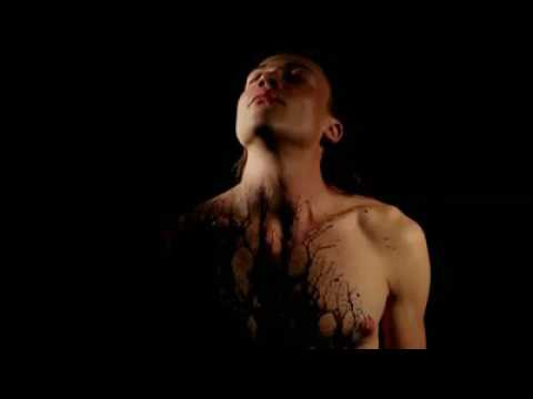 Metamorphosis -   Andrei Dombrovschi