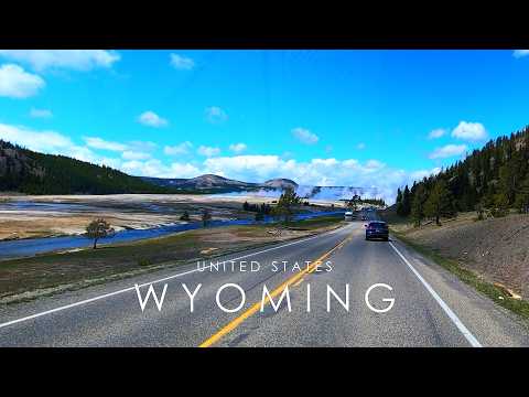 Geyser, Canyons, Wildlife and Hot Springs 🚙 Scenic Driving Grand Loop Rd | Yellowstone NP, WY