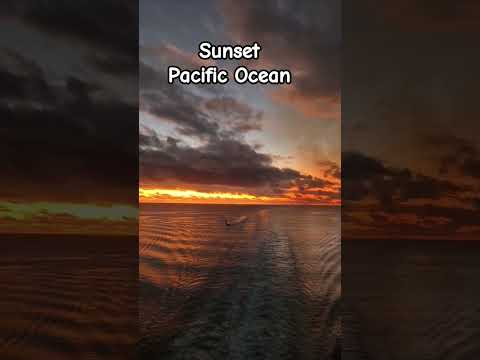 Thumbnail for Sunset Pacific Ocean on the Quantum of the Seas #short #viral #sunset