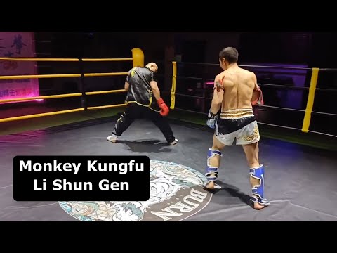Can Monkey Kungfu Work In The Ring? Li Shun Gen Tests Hou Quan
