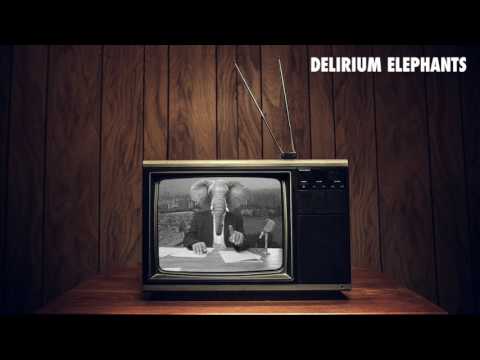 Delirium Elephants: Chinese Menu (The Sound Of Everything)