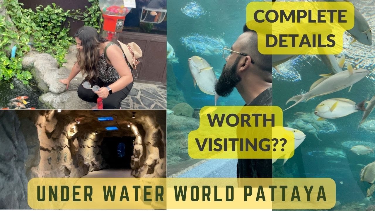 Experience the captivating underwater kingdom of Pattaya in this enthralling video tour.