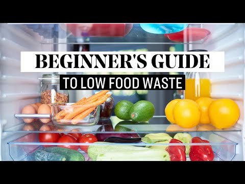 My Weekly Routine to Reduce Food Waste | Lazy Guide to Living Sustainably