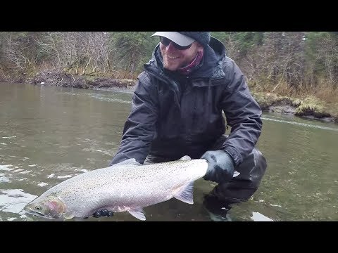 Steelhead FISHING Stories with Phil. (Addicted Alaska 2)