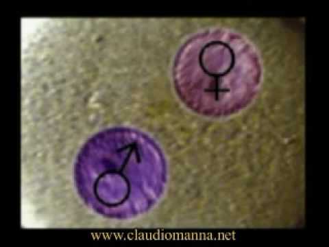Claudio Manna-20