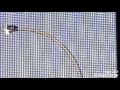 Road Sign Left Righy Zookeeper Scream ekeohant Trumpet