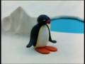 Pingu