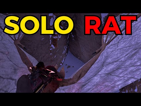 Returning to Lost Colony Small Tribes as a Solo Rat! Ark Survival Ascended