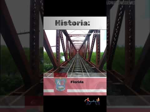 Ciclo de Clínicas y talleres 2025 de Colonia Tenis de Mesa