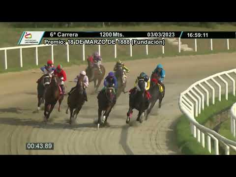 230303 c06  - IMPUESTO - HIPODROMO LAS PIEDRAS