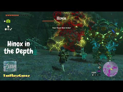 All Hinox in the Depth Location : Zelda Tears of The Kingdom.