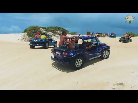 App Executivos TP Video