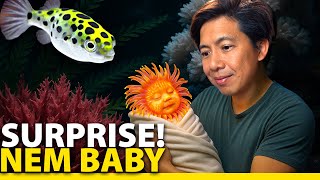 New Baby + Insane Macros Algae Tank Updates!