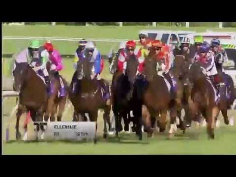 2015 Group 1 New Zealand Derby - Mongolian Khan