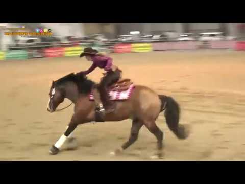 GINA SCHUMACHER-  GOTTA NIFTY GUN - CHANAY SKY MANAGEMENT SA