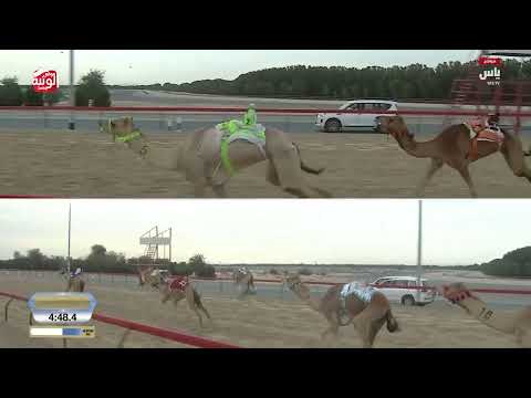 ش 15 (ندى) لـ أحمد عبدالله الطير العامري 12:25:20 ، ختامي المرموم 2026/03/30 ثنايا