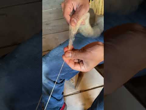 Spinning Wool on my Antique Wheel