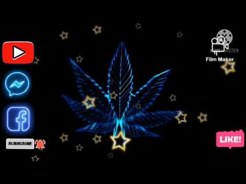 sétro Star  nique la police