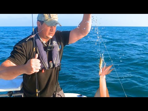 Boat Fishing For Squid & Cuttlefish Off the Sussex Coast